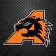 Aledo Bearcats Athletics