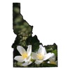 Idaho Wildflower Search