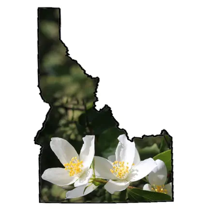 Idaho Wildflower Search Cheats