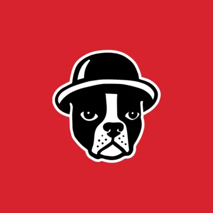 Boston Calling Music Festival Читы