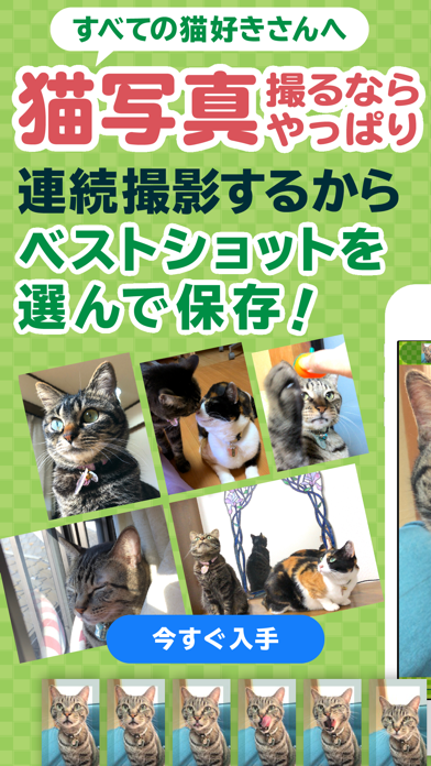 撮る猫のおすすめ画像1