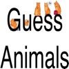 Guess Animals