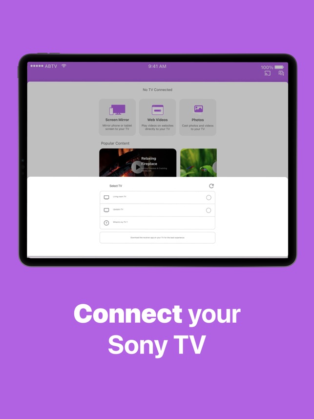 Sony TV Screen Mirroring Cast on the App Store
