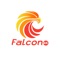 Falcon IPTV - Your Complete TV and Movie Experience