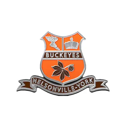 Nelsonville-York City Schools Читы