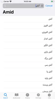 amid persian dictionary iphone resimleri 1