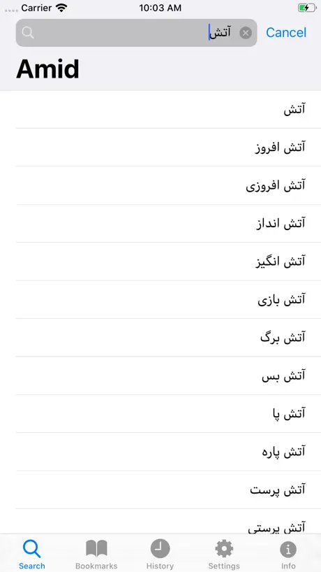 Amid Persian Dictionary