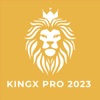 KingXPro Store