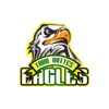 Twin Buttes Elementary School icon