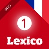 Lexico Comprendre 1 Pro icon