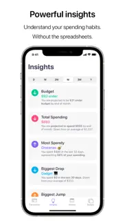 nudget: spending tracker iphone screenshot 2