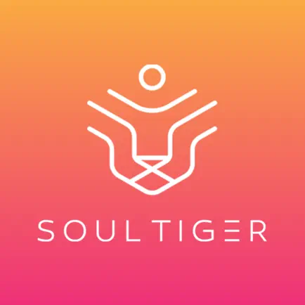 Soul Tiger Читы