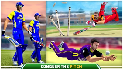 PSL Cricket Championship Screenshot