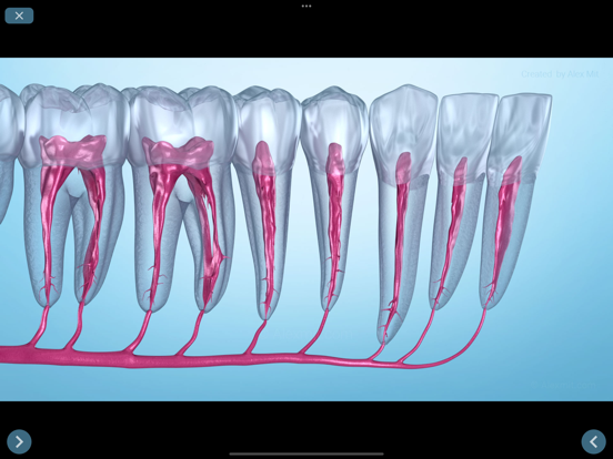 Dental 3D Illustrationsのおすすめ画像4