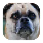 Image to Pixel Art App Contact