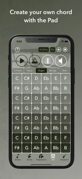 Game screenshot iPracticePro mod apk