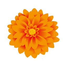 Autocollant Dahlia