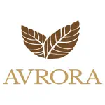 AVRORA Ural App Support