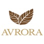 AVRORA Ural app download