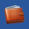 Budget Flow - Expenses, Income - iPadアプリ