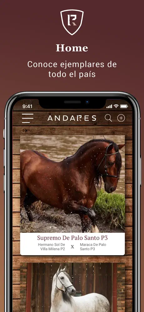Andares