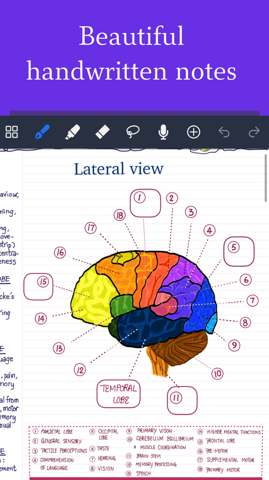 #1. Noteful: Notes & PDF Markup (iOS) 由: Noteful Technologies Ltd