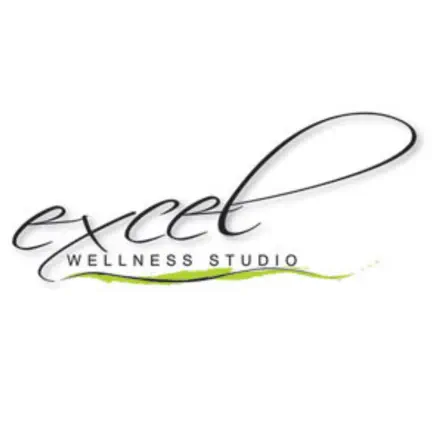 Excel Wellness Читы