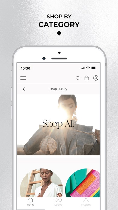 Stylit Styling & Shopping Screenshot