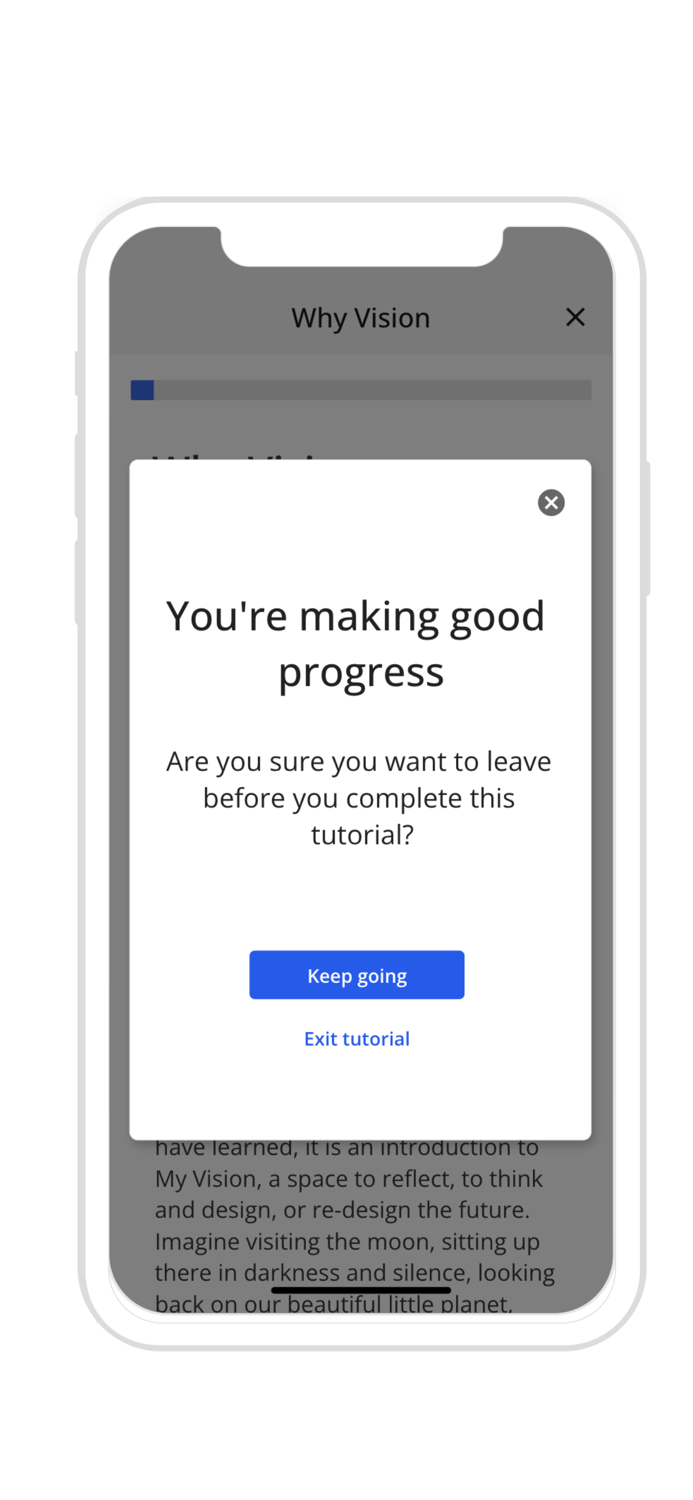 Global Tribe Vision Mentor