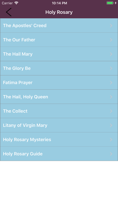 Catholic Essentials Screenshot