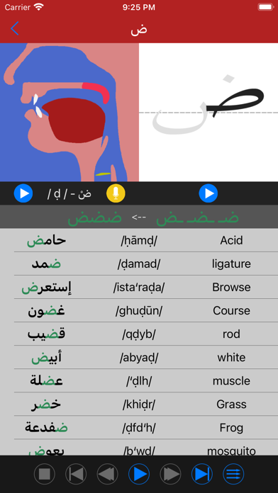 Arabic Sounds and Letter Spell Screenshot