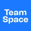 TeamSpace delete, cancel