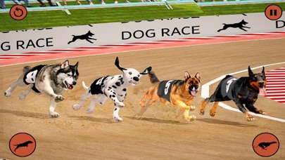 Dog Racing Game - Dog Games Screenshot