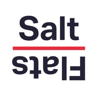 Salt Flats Chicago logo