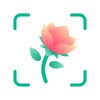 Plant Identifier by Picture icon