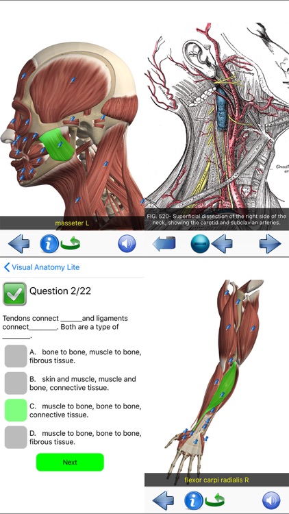 Visual Anatomy Lite screenshot-6