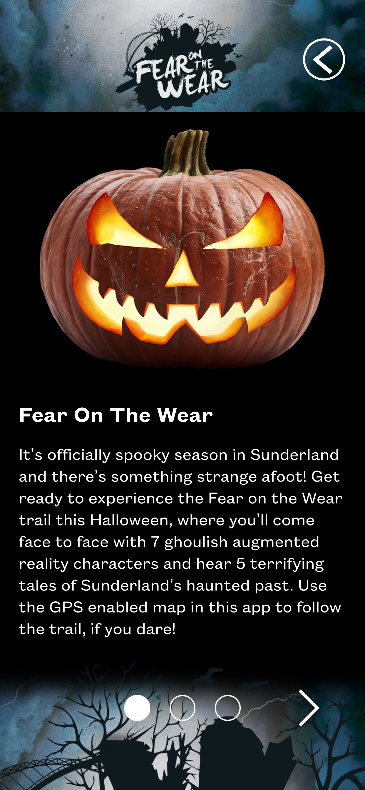 Sunderland Experience