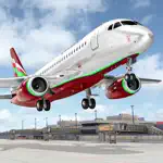 Passenger Airplane Flight Sim App Positive Reviews