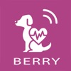 BerryPetHealth