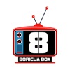 Boricua Box