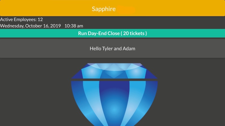 Sapphire POS Viewer