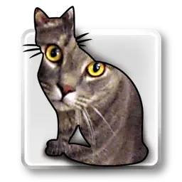 ID Image Catalog app icon