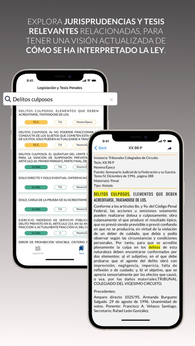 Leyes y Tesis Penales Screenshot