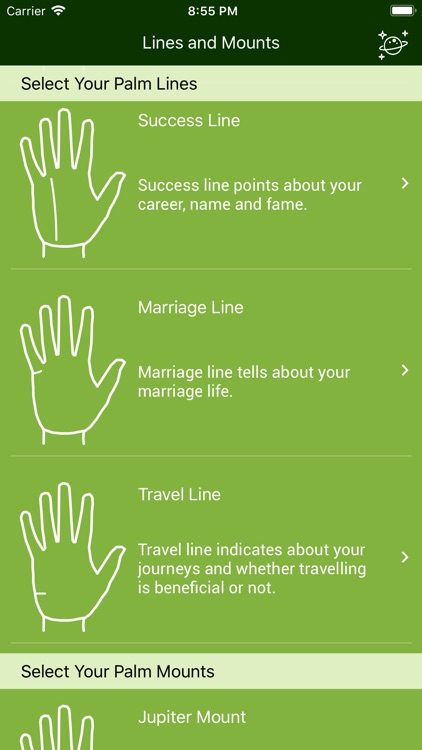 PALM READER The Fortune Teller