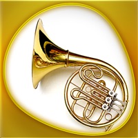 Instruments 360 Gold logo