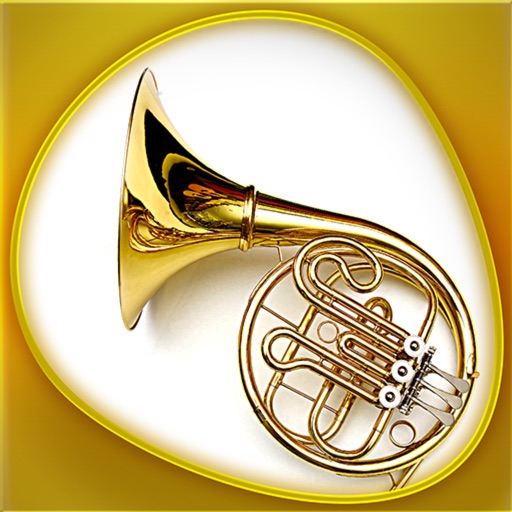 Instruments 360 Gold icon