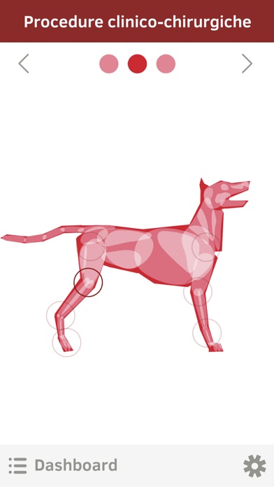 OrthovetPlus Screenshot