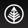 Thrive Family Church icon