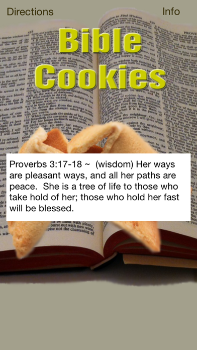 Bible Cookies Screenshot