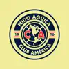 Nido Águila Azcapotzalco App Feedback